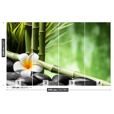 Fototapet Frangipani bambu