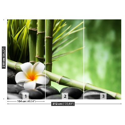 Fototapet Frangipani bambu