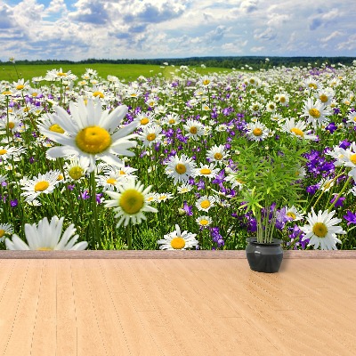 Fondtapet Ängar och blommor