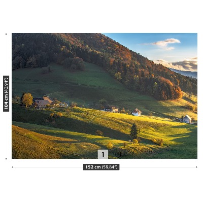 Fototapet Dalgång