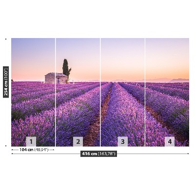 Fototapet Lavendel Provence