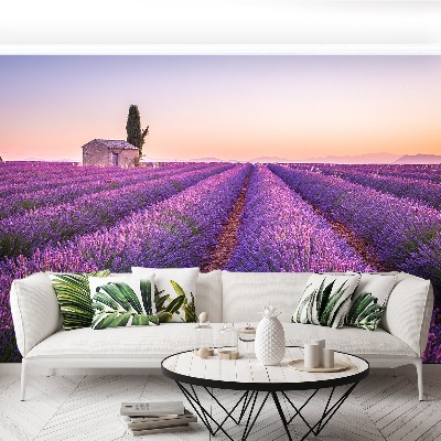 Fototapet Lavendel Provence