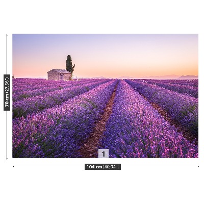 Fototapet Lavendel Provence