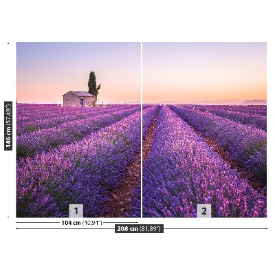 Fototapet Lavendel Provence