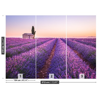 Fototapet Lavendel Provence