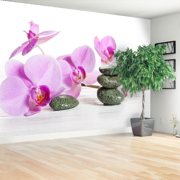 Fototapet Orchid Spa