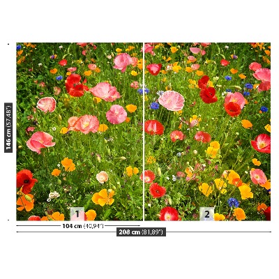 Fototapet Blommor äng