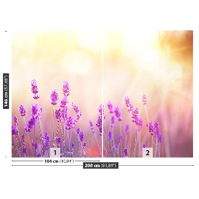 Fototapet Lavendel Gyllene