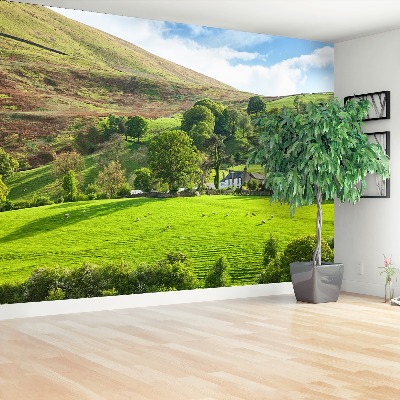 Fondtapet Våren Cumbria