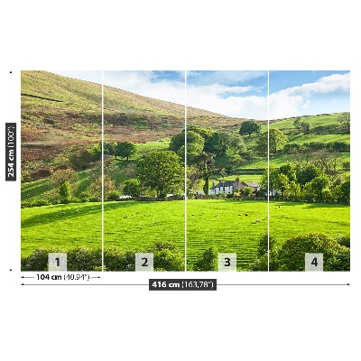 Fondtapet Våren Cumbria