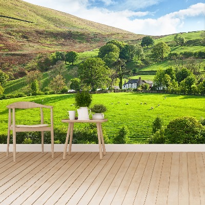 Fondtapet Våren Cumbria
