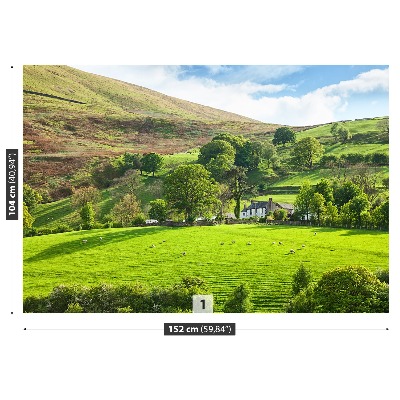 Fondtapet Våren Cumbria