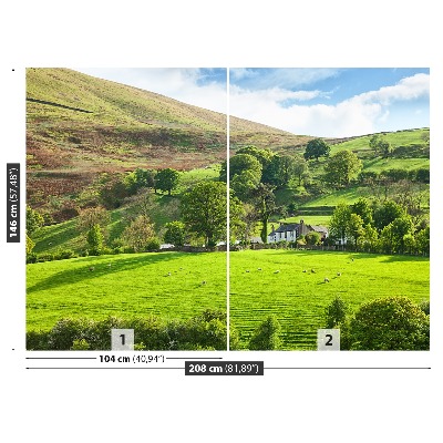 Fondtapet Våren Cumbria