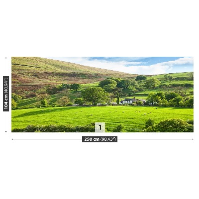 Fondtapet Våren Cumbria