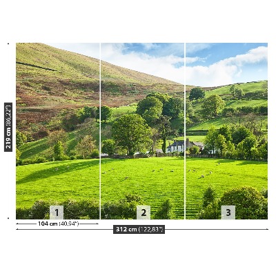 Fondtapet Våren Cumbria