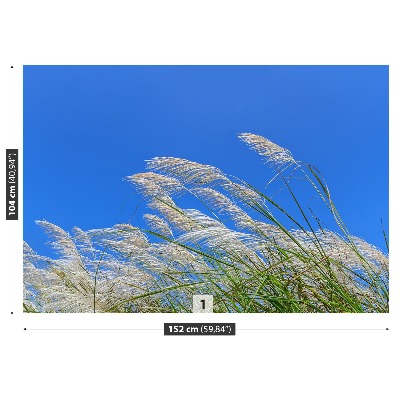 Fototapet Blått gräs