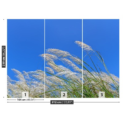Fototapet Blått gräs