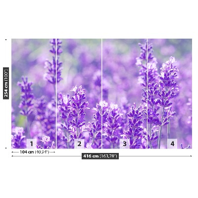 Fototapet Lavendel lila