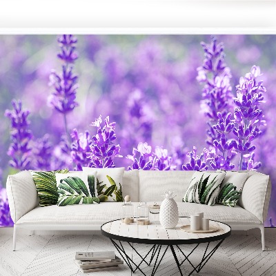 Fototapet Lavendel lila