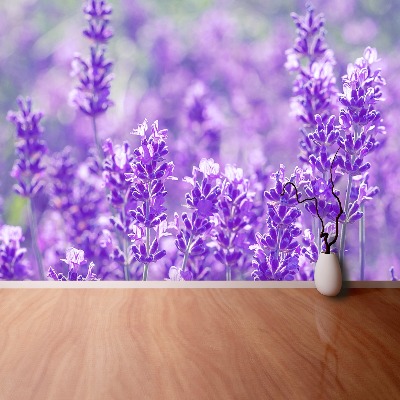 Fototapet Lavendel lila