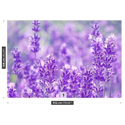 Fototapet Lavendel lila