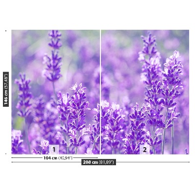 Fototapet Lavendel lila