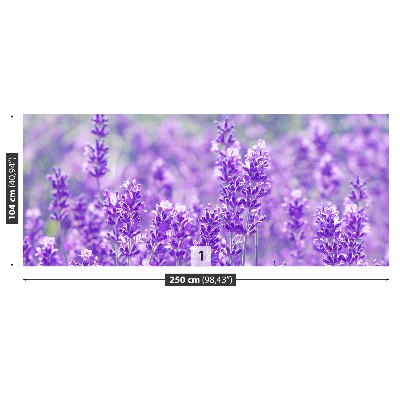 Fototapet Lavendel lila