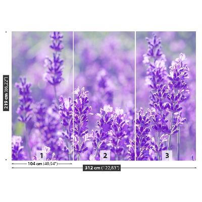 Fototapet Lavendel lila