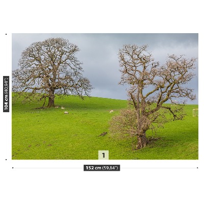 Fototapet Rådjur