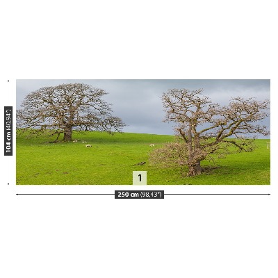 Fototapet Rådjur