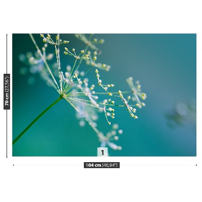 Fototapet Dill blomma