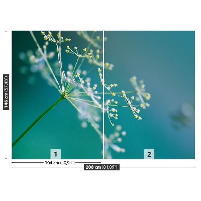 Fototapet Dill blomma