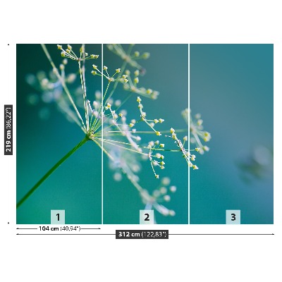 Fototapet Dill blomma