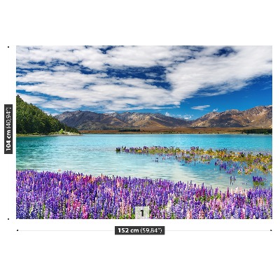 Fototapet Lake New Zealand