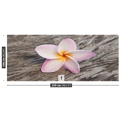 Fondtapet Frangipani trä