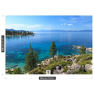 Fondtapet Tahoe sjön