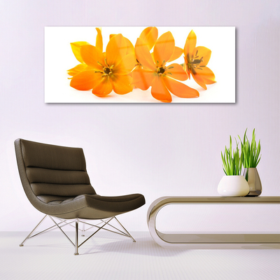 Akrylglastavla Orange växtblommor