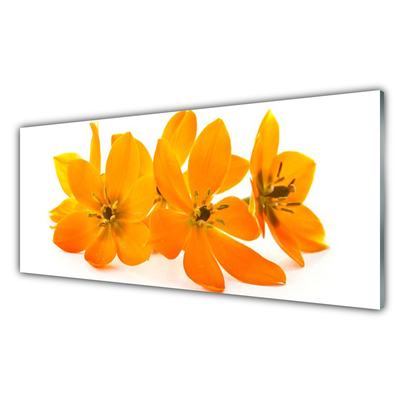 Akrylglastavla Orange växtblommor