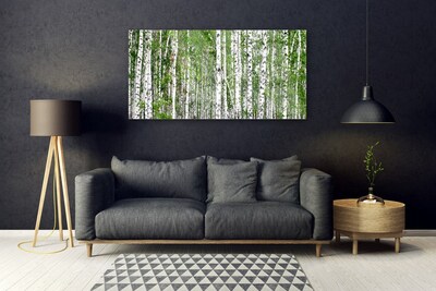 Akrylglas bild Björkskogsträd Natur
