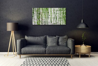 Akrylglas bild Björkskogsträd Natur