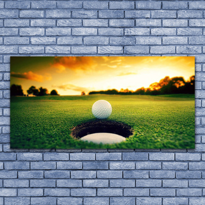 Plexiglas tavla Golfboll Gräs Natur