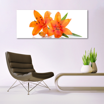 Bild på akrylglas Orange växtblommor