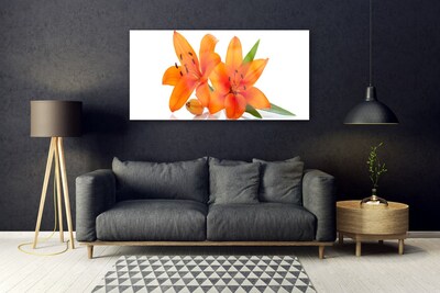 Bild på akrylglas Orange växtblommor