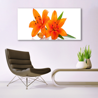 Bild på akrylglas Orange växtblommor