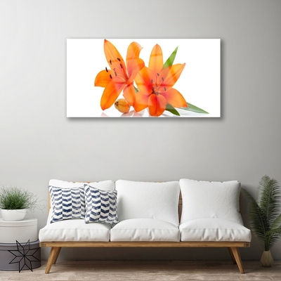 Bild på akrylglas Orange växtblommor