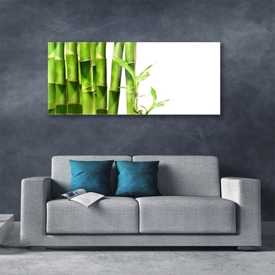 Akrylglas bild Bambuväxt