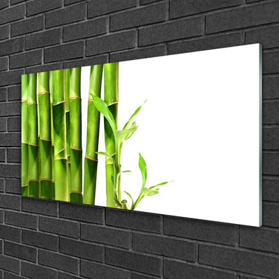 Akrylglas bild Bambuväxt