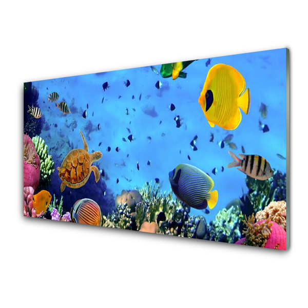 Akryltavla Korallrev Fish Nature