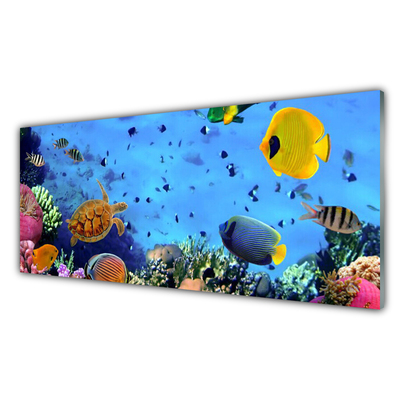 Akryltavla Korallrev Fish Nature