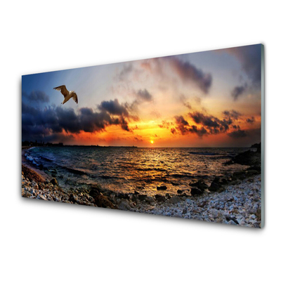 Akrylglas bild Seagull Sea Beach Landskap